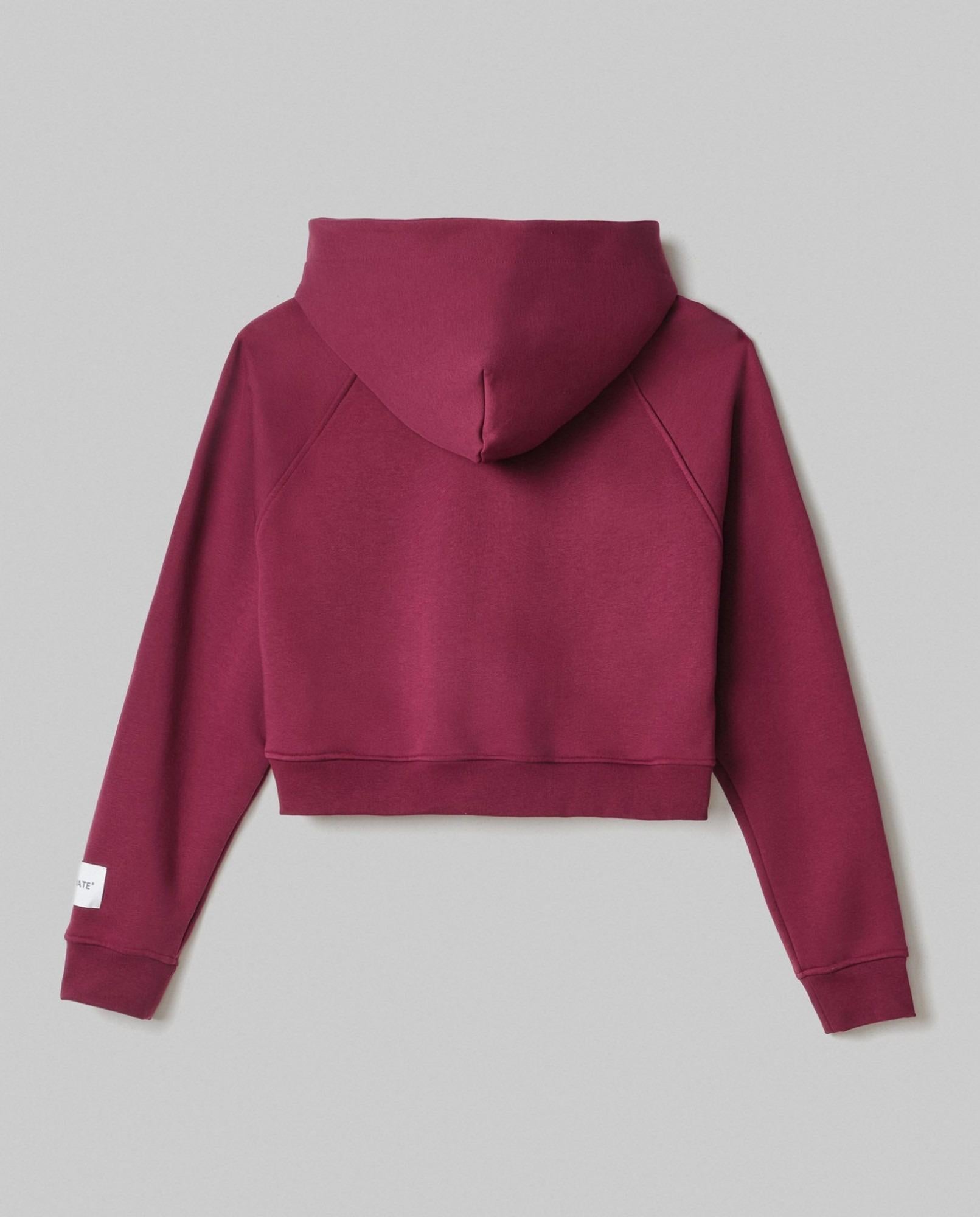 Felpa Cappuccio A Scatoletta Con Manica Raglan Bordeaux HMABW01958-TMTF0012 RS02 HINNOMINATE