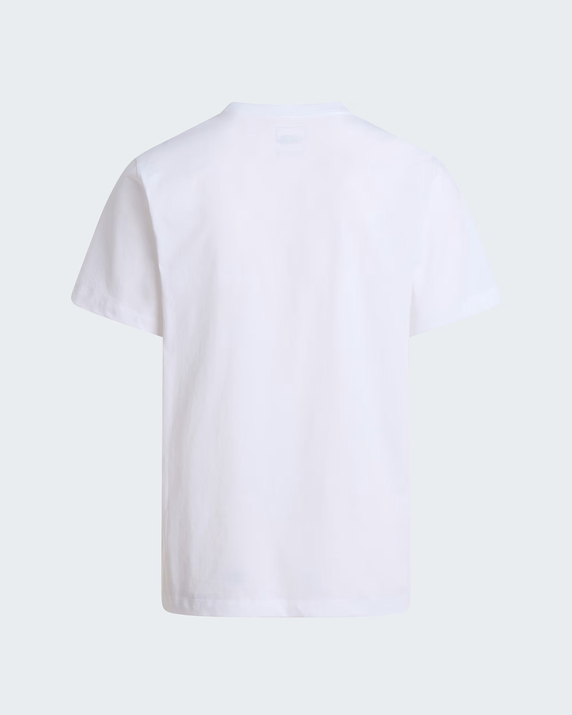 T-shirt Evolution Simple Dome Regular da uomo white NF0A8CZ2 FN41 THE NORTH FACE 