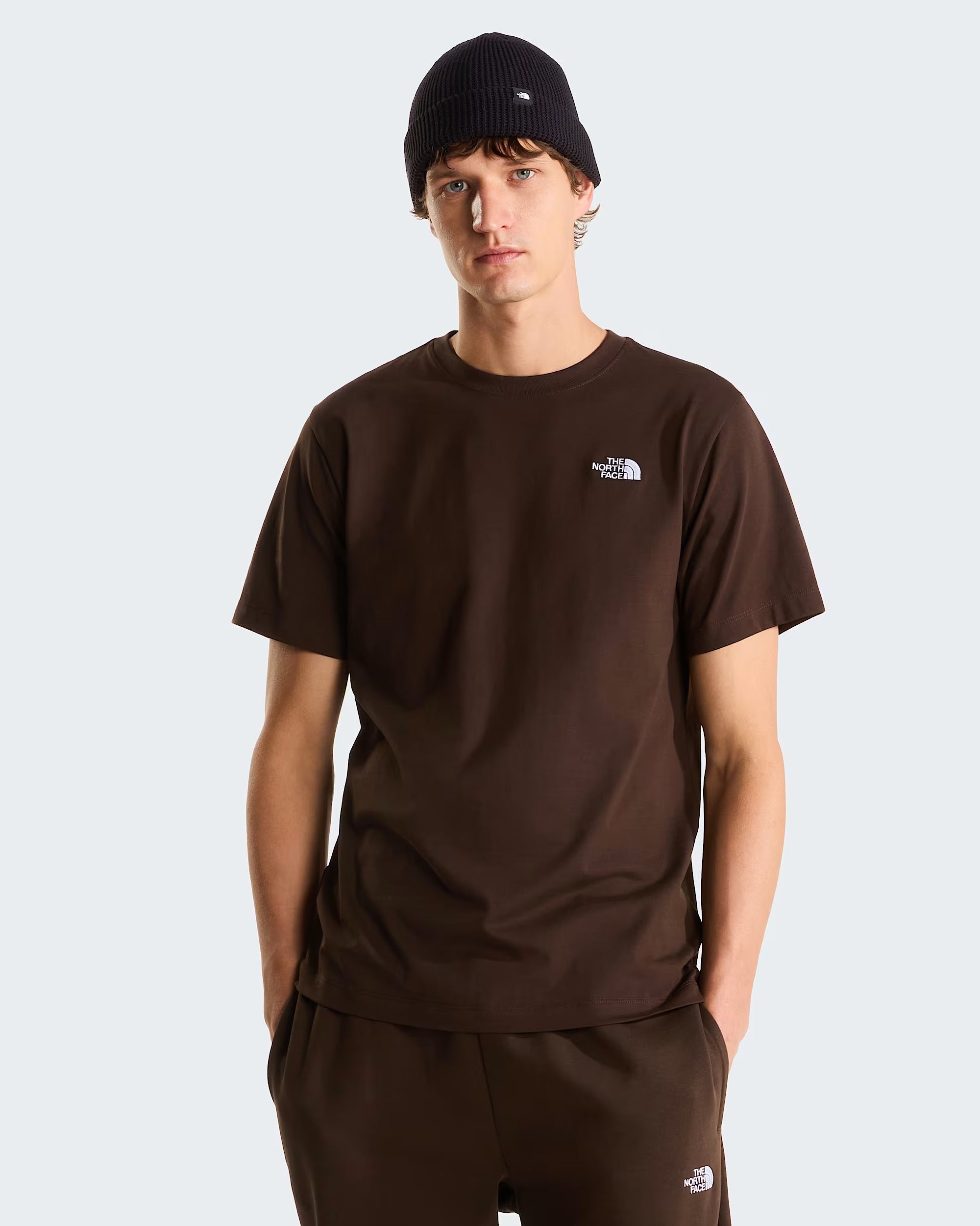 T-shirt Evolution Simple Dome Regular da uomo dark cestnut NF0A8CZ2 NMF THE NORTH FACE 